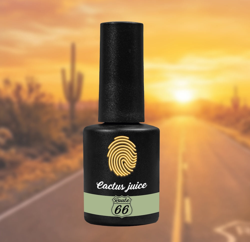 Collezione Autunno 2026 - Route 66